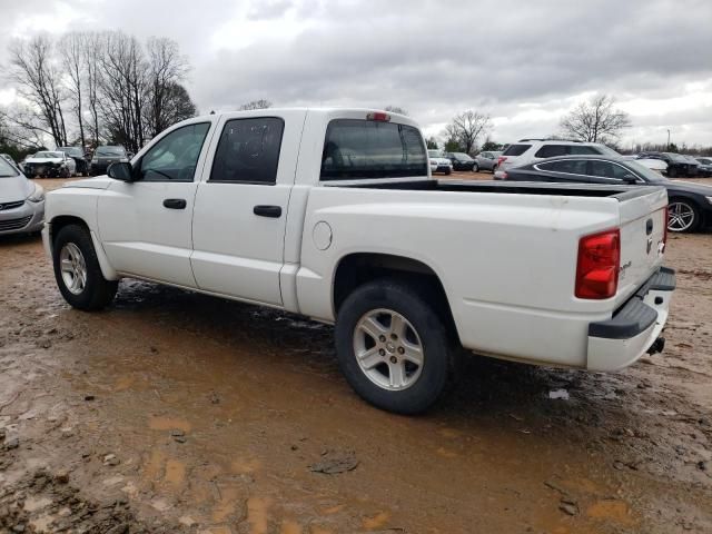 2011 Dodge Dakota SLT