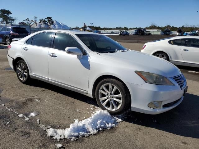 2010 Lexus ES 350