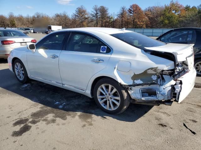 2010 Lexus ES 350