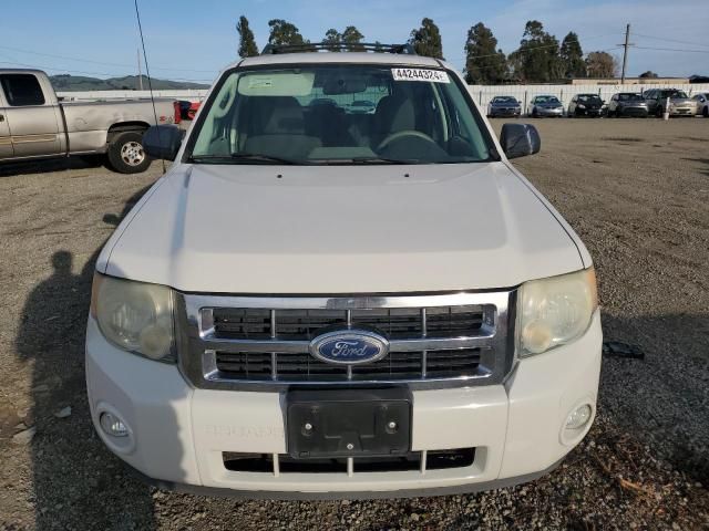 2010 Ford Escape XLS