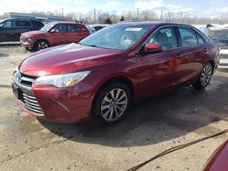 2015 Toyota Camry LE for sale in Louisville, KY