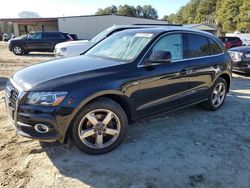 Audi Vehiculos salvage en venta: 2012 Audi Q5 Premium Plus