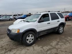 Ford salvage cars for sale: 2001 Ford Escape XLT