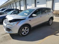 2016 Ford Escape SE for sale in Lawrenceburg, KY