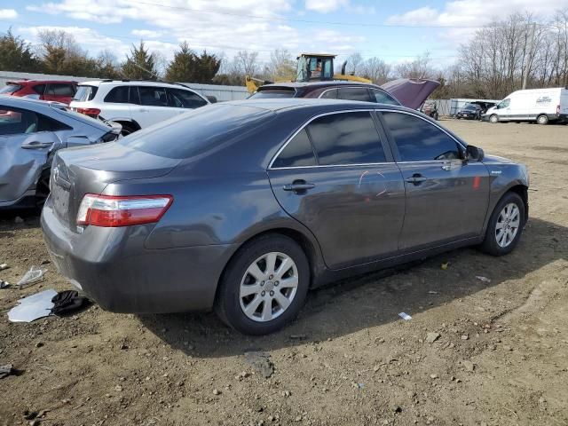 2009 Toyota Camry Hybrid