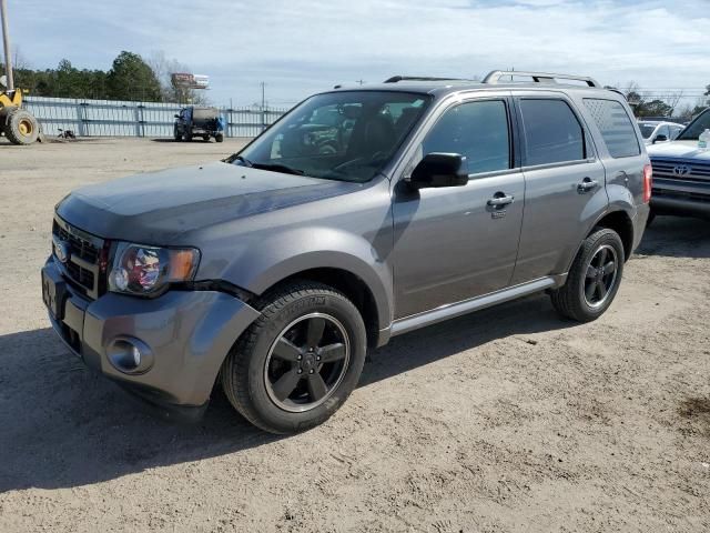 2011 Ford Escape XLT