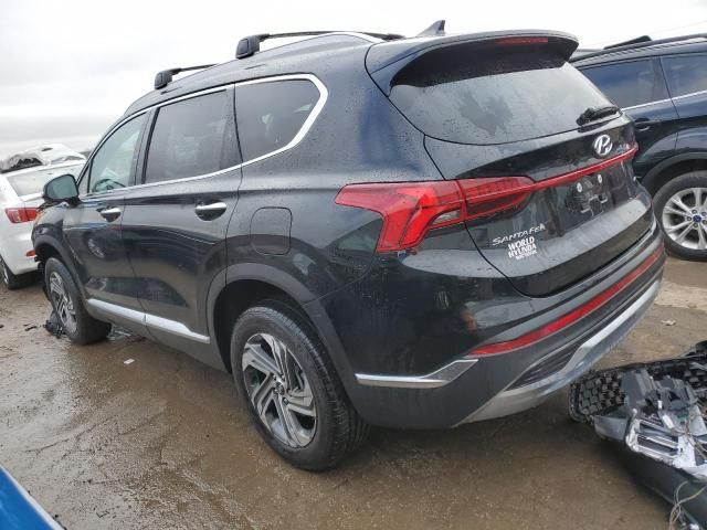 2023 Hyundai Santa FE SEL Premium