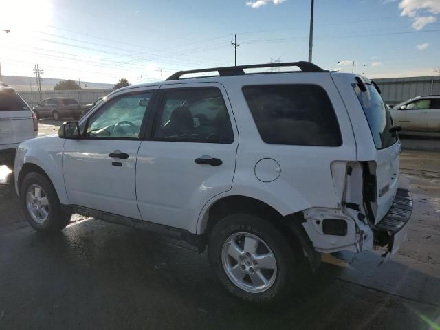 2011 Ford Escape XLT