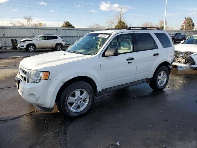 2011 Ford Escape XLT