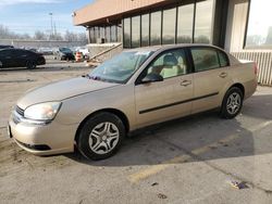 Salvage cars for sale from Copart Fort Wayne, IN: 2005 Chevrolet Malibu