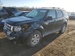 Ford Vehiculos salvage en venta: 2010 Ford Escape Limited