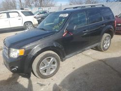 2010 Ford Escape XLT for sale in Bridgeton, MO