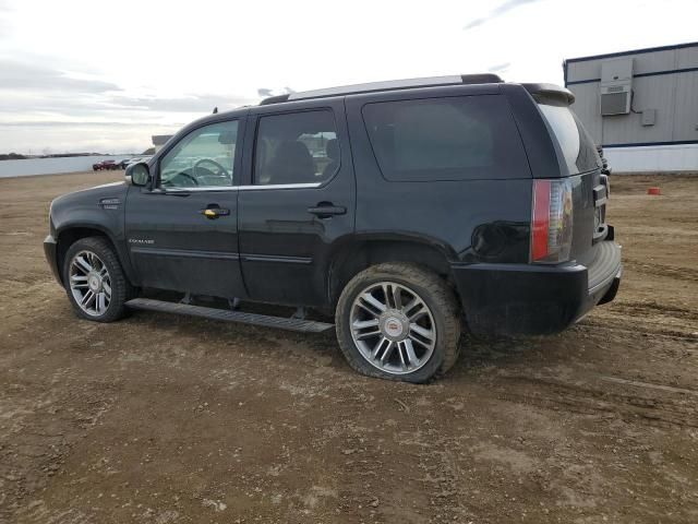 2013 Cadillac Escalade Premium