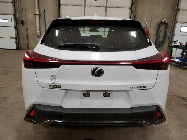 2021 Lexus UX 250H