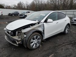 Tesla salvage cars for sale: 2021 Tesla Model Y