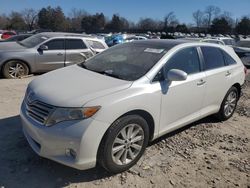 Toyota Venza salvage cars for sale: 2010 Toyota Venza