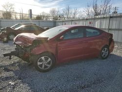 Hyundai Elantra se salvage cars for sale: 2014 Hyundai Elantra SE