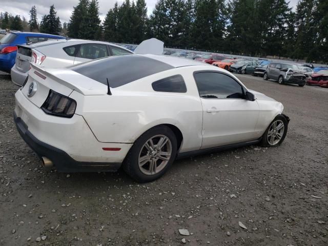 2010 Ford Mustang