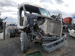 Salvage cars for sale from Copart Bakersfield, CA: 2010 Freightliner Cascadia 113