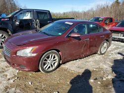 2009 Nissan Maxima S for sale in Candia, NH