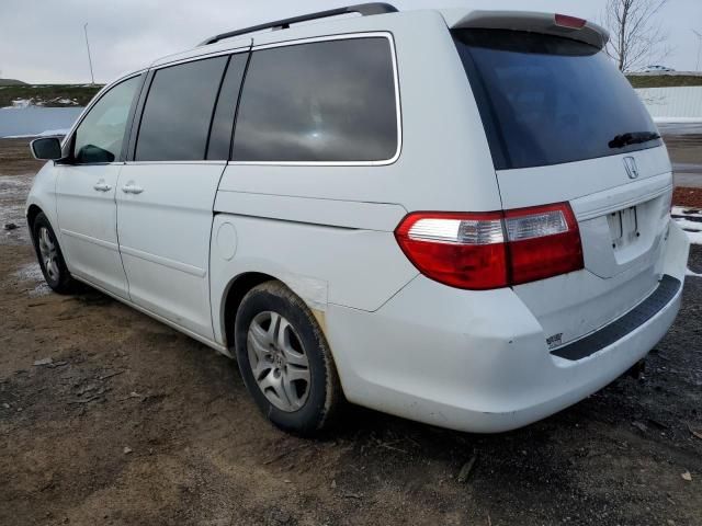 2005 Honda Odyssey EX