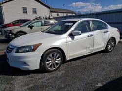 Salvage cars for sale from Copart York Haven, PA: 2012 Honda Accord EXL