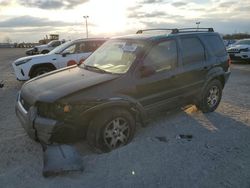Salvage cars for sale from Copart Indianapolis, IN: 2003 Ford Escape XLT