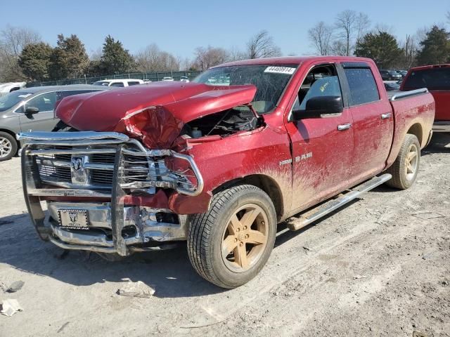 2010 Dodge RAM 1500