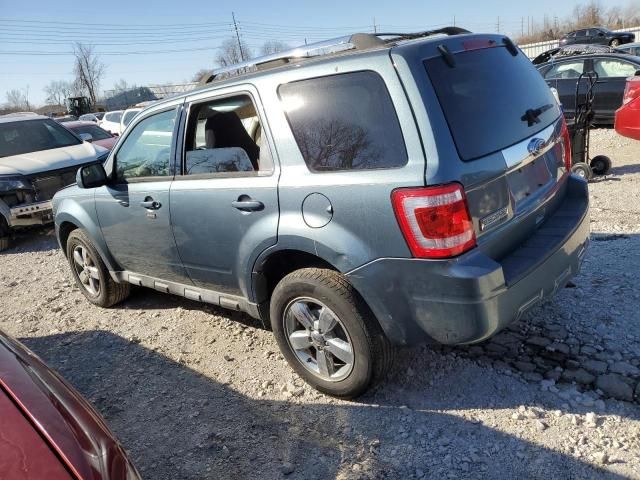 2010 Ford Escape Limited