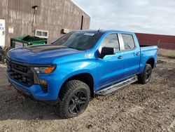 2024 Chevrolet Silverado K1500 Trail Boss Custom for sale in Rapid City, SD