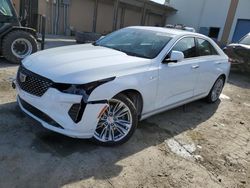 Vehiculos salvage en venta de Copart Hayward, CA: 2023 Cadillac CT4 Premium Luxury