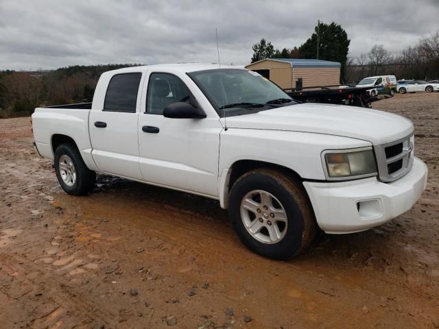 2011 Dodge Dakota SLT