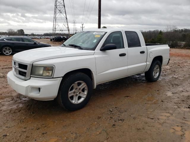 2011 Dodge Dakota SLT