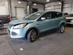 Vehiculos salvage en venta de Copart Ham Lake, MN: 2013 Ford Escape SE