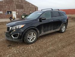 2017 KIA Sorento LX en venta en Rapid City, SD