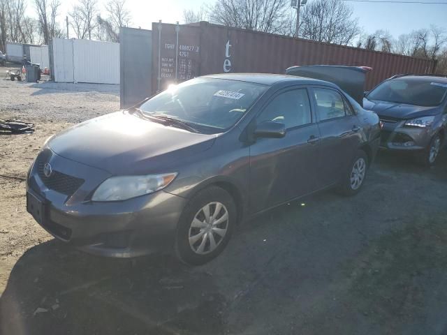 2010 Toyota Corolla Base