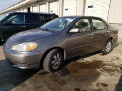 2003 Toyota Corolla CE for sale in Lawrenceburg, KY