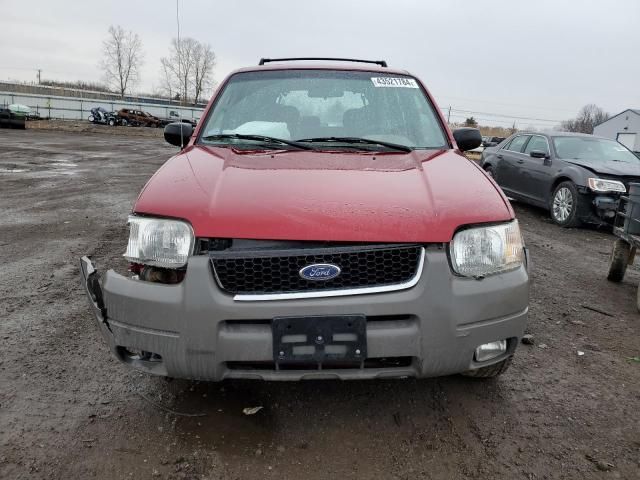 2001 Ford Escape XLT