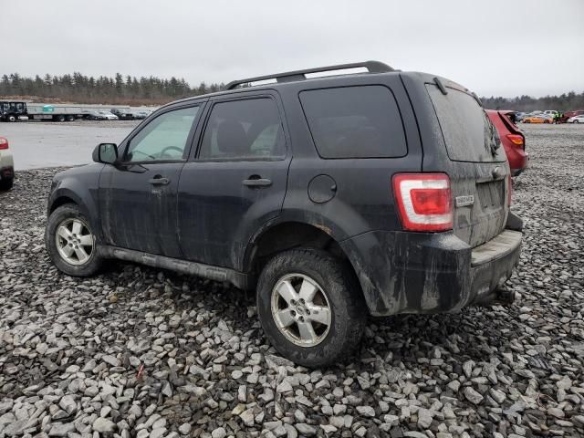 2010 Ford Escape XLT