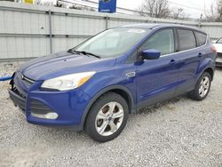 Vehiculos salvage en venta de Copart Walton, KY: 2013 Ford Escape SE