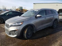 Salvage cars for sale from Copart Rocky View County, AB: 2019 KIA Sorento LX