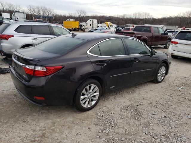 2014 Lexus ES 300H