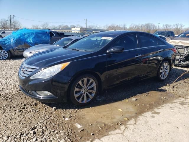 2013 Hyundai Sonata SE