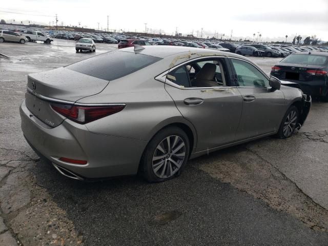 2019 Lexus ES 350