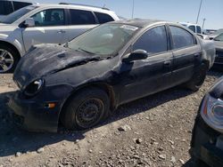 Salvage cars for sale from Copart Anthony, TX: 2003 Dodge Neon SXT