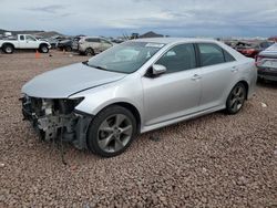 Salvage cars for sale from Copart Phoenix, AZ: 2014 Toyota Camry SE