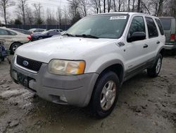 Ford Vehiculos salvage en venta: 2001 Ford Escape XLT