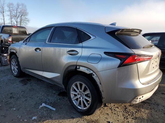 2019 Lexus NX 300H