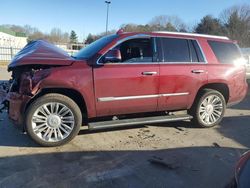 Cadillac salvage cars for sale: 2016 Cadillac Escalade Platinum