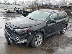 Salvage cars for sale from Copart Marlboro, NY: 2023 Toyota Rav4 XLE